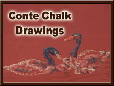 Conte Chalk Drawings